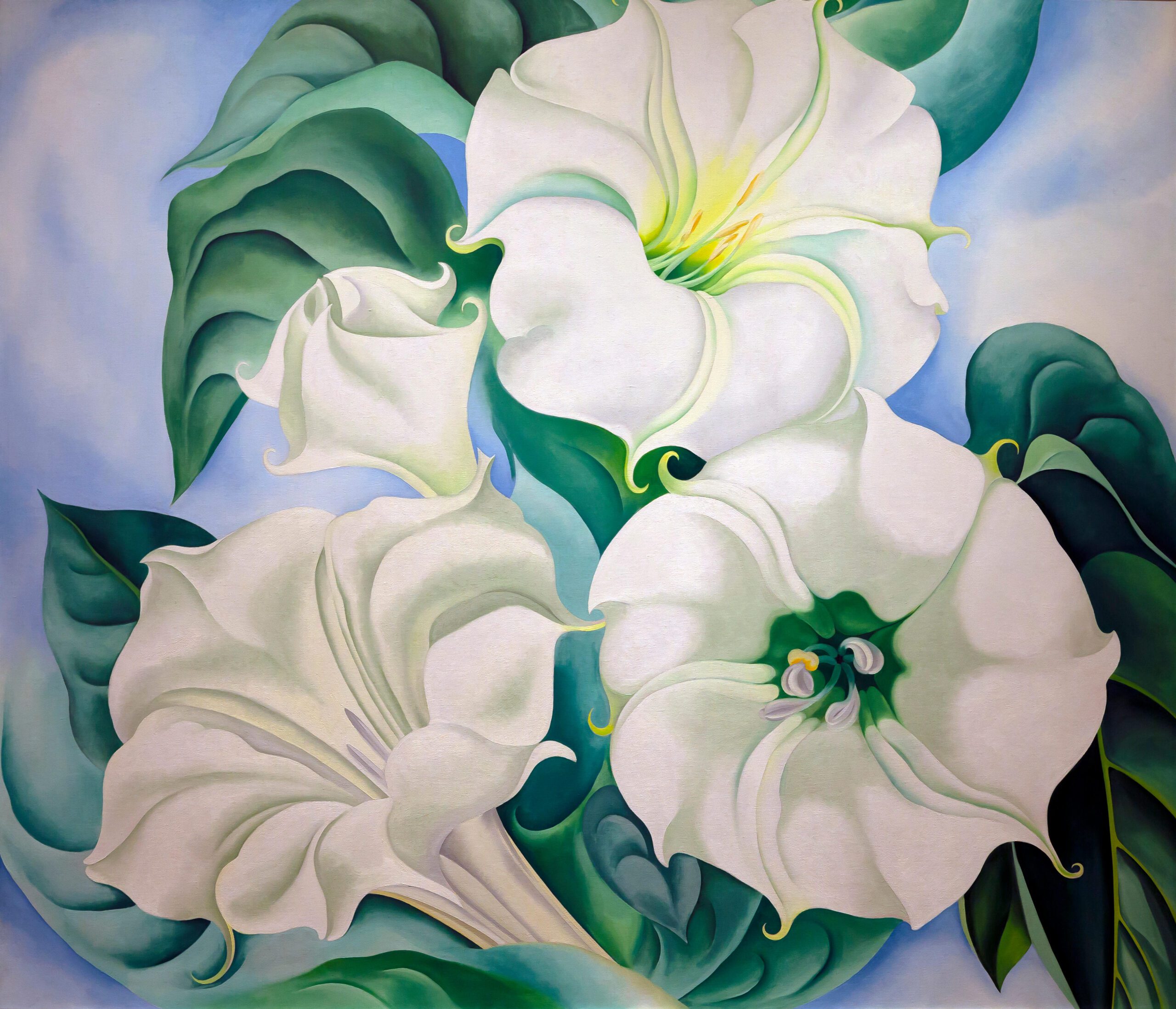 Jimson Weed by Georgia O'Keeffe