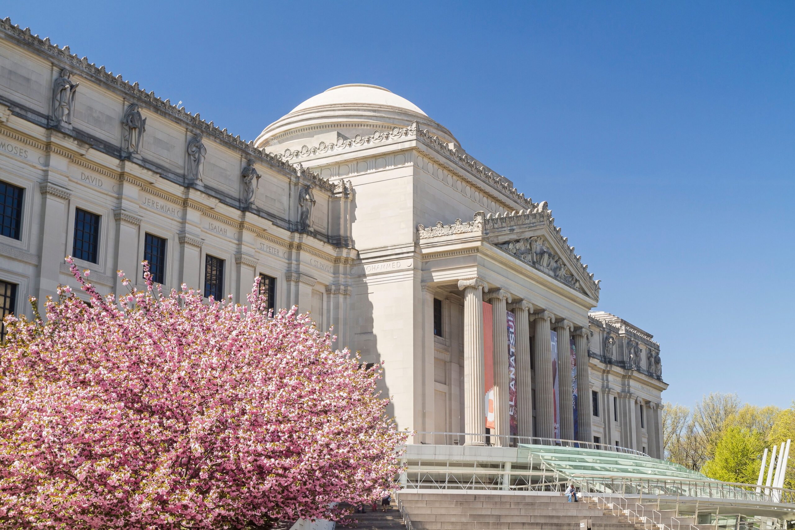 Cherry trees in full bloom in front of the Brooklyn Museum in Brooklyn, New York. Colin D. Young / Alamy Stock Photo