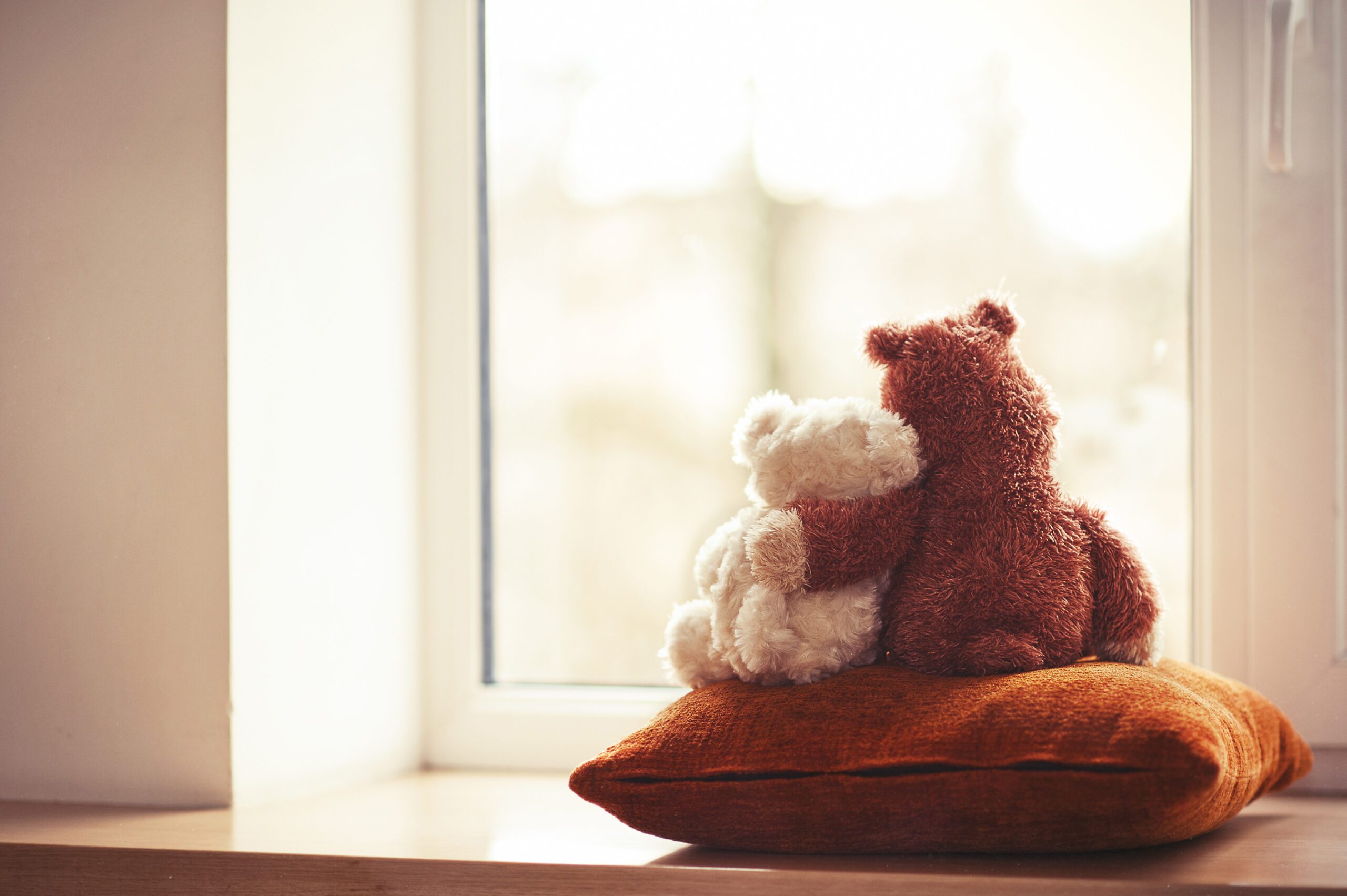 Two stuffed bears embracing