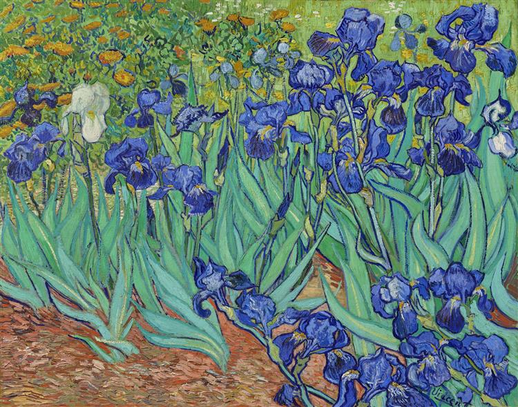 Irises by Vincent Van Gogh (1890) 
