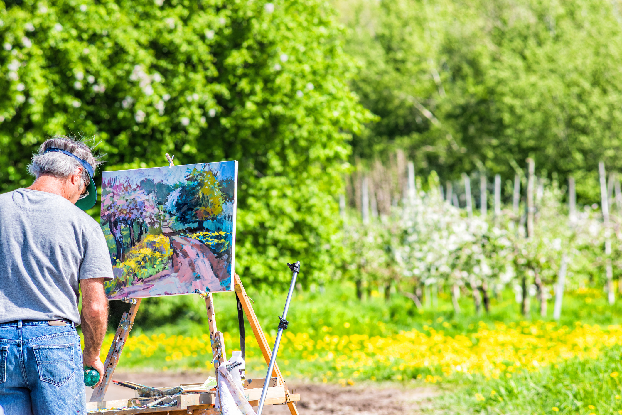 Find the Best Plein Air Easels for Artists Working Outdoors